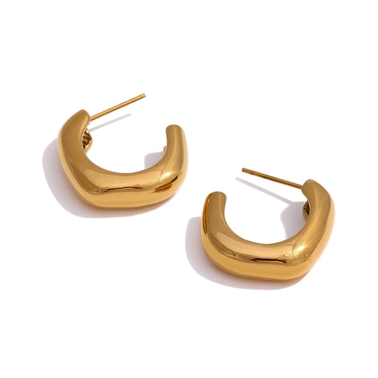 Orecchini Earrings