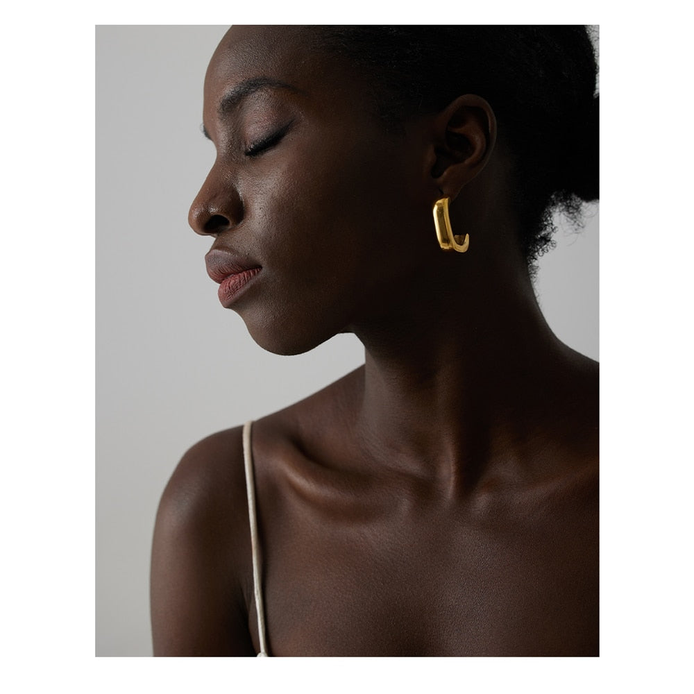 Orecchini Earrings